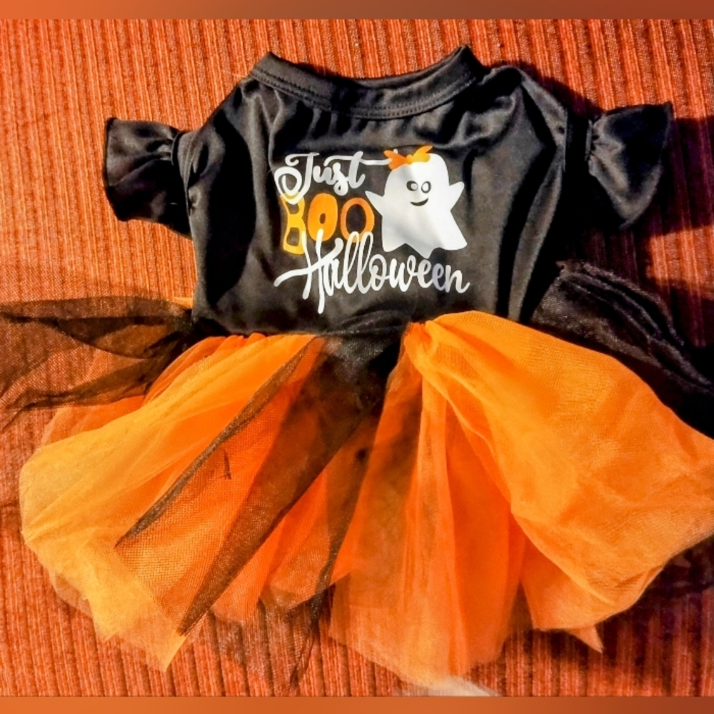 Adorable festive Halloween female dog dress